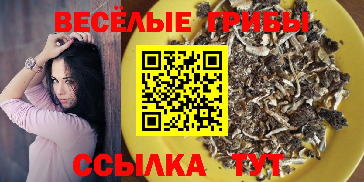 Галлюциногенные грибы Magic Shrooms Топки